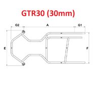 GTR30